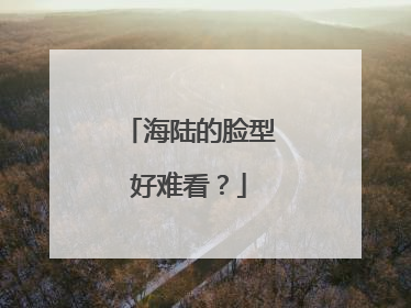 海陆的脸型好难看？