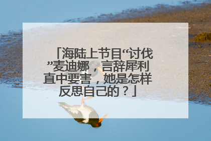 海陆上节目“讨伐”麦迪娜,言辞犀利直中要害,她是怎样反思自己的?