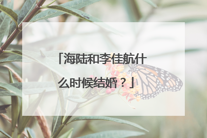 海陆和李佳航什么时候结婚？
