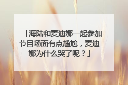 海陆和麦迪娜一起参加节目场面有点尴尬,麦迪娜为什么哭了呢?