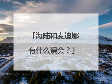 海陆和麦迪娜有什么误会?