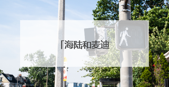 海陆和麦迪娜怎么回事