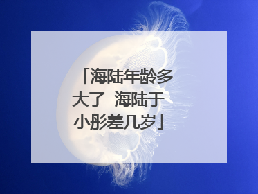 海陆年龄多大了 海陆于小彤差几岁