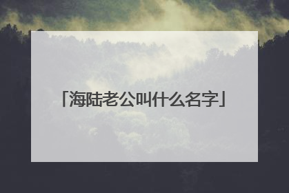 海陆老公叫什么名字