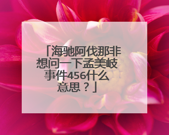 海驰阿伐那非想问一下孟美岐事件456什么意思？