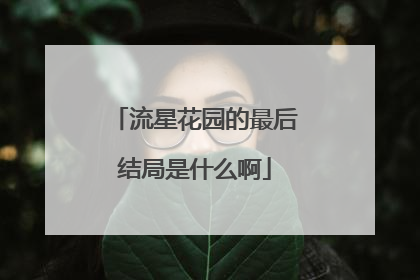 流星花园的最后结局是什么啊