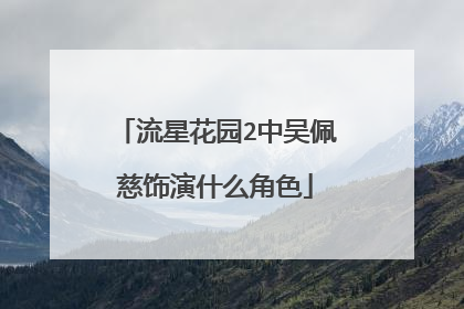 流星花园2中吴佩慈饰演什么角色