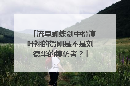 流星蝴蝶剑中扮演叶翔的贺刚是不是刘德华的模仿者?