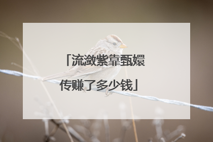 流潋紫靠甄嬛传赚了多少钱