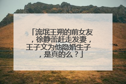 流氓王朔的前女友，徐静蕾赶走发妻，王子文为他隐婚生子，是真的么？