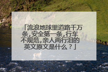 流浪地球里道路千万条,安全第一条,行车不规范,亲人两行泪的英文原文是什么？