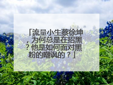 流量小生蔡徐坤,为何总是在招黑?他是如何面对黑粉的嘲讽的?