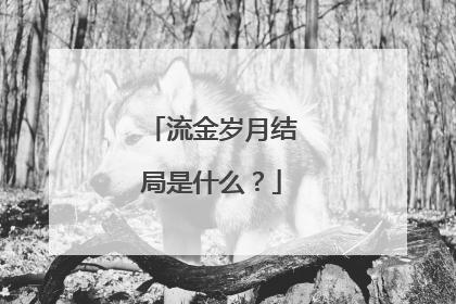 流金岁月结局是什么?