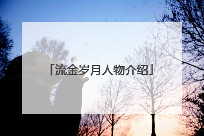 流金岁月人物介绍