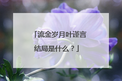 流金岁月叶谨言结局是什么？