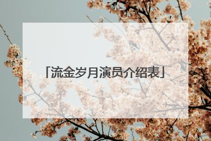 流金岁月演员介绍表