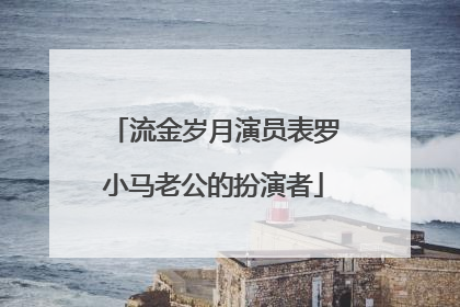 流金岁月演员表罗小马老公的扮演者