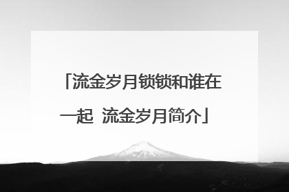 流金岁月锁锁和谁在一起 流金岁月简介