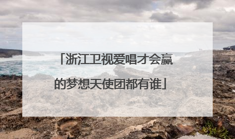浙江卫视爱唱才会赢的梦想天使团都有谁