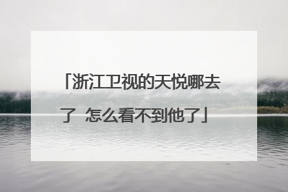 浙江卫视的天悦哪去了 怎么看不到他了