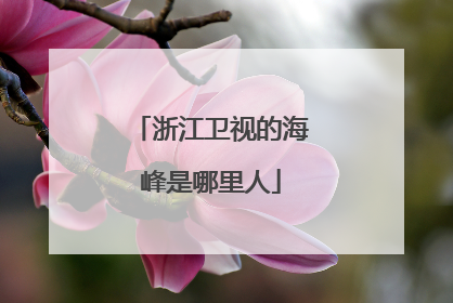 浙江卫视的海峰是哪里人