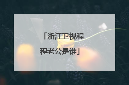 浙江卫视程程老公是谁