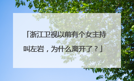 浙江卫视以前有个女主持叫左岩，为什么离开了？