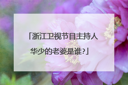 浙江卫视节目主持人华少的老婆是谁?