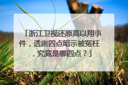 浙江卫视还原高以翔事件,透露四点暗示被冤枉,究竟是哪四点?