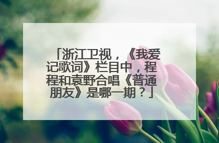 浙江卫视，《我爱记歌词》栏目中，程程和袁野合唱《普通朋友》是哪一期？