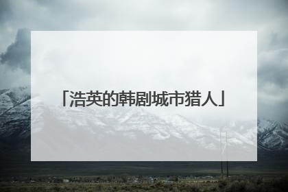 浩英的韩剧城市猎人