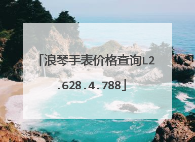 浪琴手表价格查询L2.628.4.788