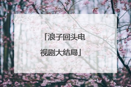 浪子回头电视剧大结局