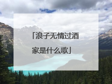 浪子无情过酒家是什么歌