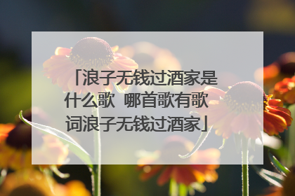 浪子无钱过酒家是什么歌 哪首歌有歌词浪子无钱过酒家