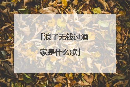 浪子无钱过酒家是什么歌