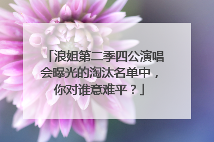 浪姐第二季四公演唱会曝光的淘汰名单中，你对谁意难平？