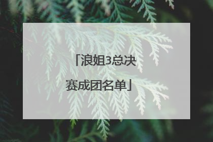 浪姐3总决赛成团名单