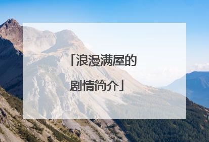 浪漫满屋的剧情简介