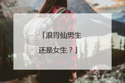 浪胃仙男生还是女生？