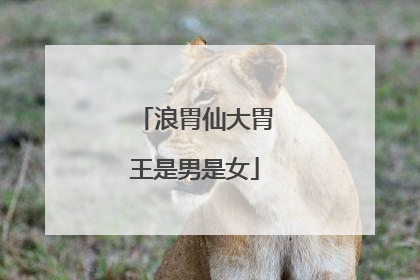 浪胃仙大胃王是男是女