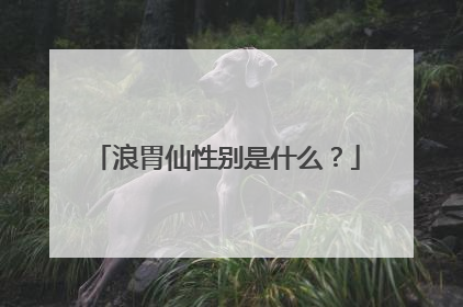 浪胃仙性别是什么？