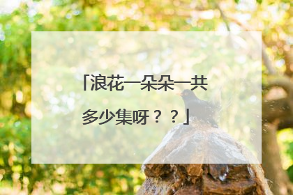 浪花一朵朵一共多少集呀？？
