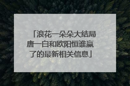 浪花一朵朵大结局唐一白和欧阳恒谁赢了的最新相关信息