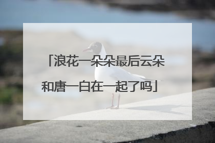 浪花一朵朵最后云朵和唐一白在一起了吗