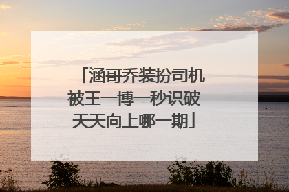 涵哥乔装扮司机被王一博一秒识破天天向上哪一期