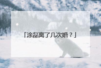 涂磊离了几次婚？