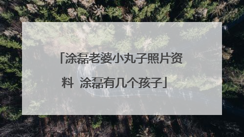 涂磊老婆小丸子照片资料 涂磊有几个孩子