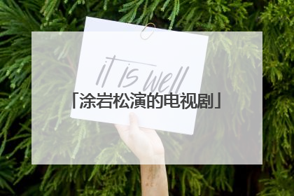 涂岩松演的电视剧