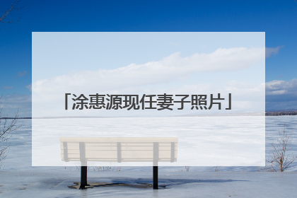 涂惠源现任妻子照片